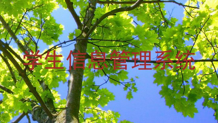 学生信息管理系统