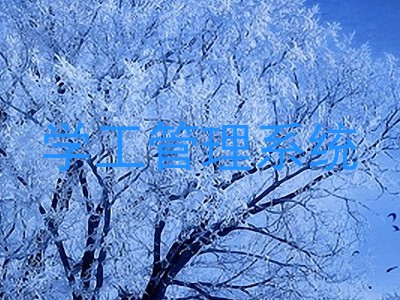 学工管理系统