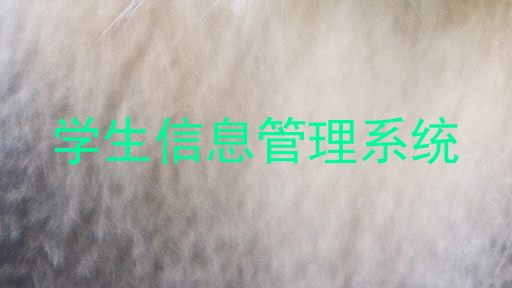 学生信息管理系统