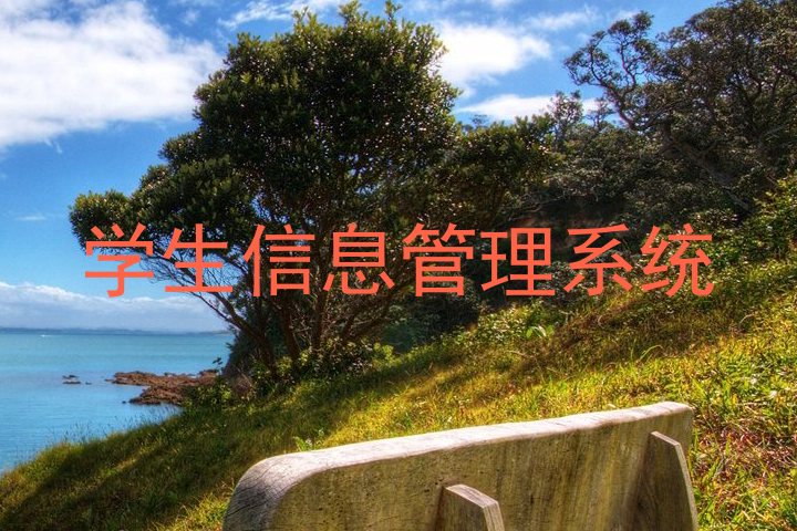 学生信息管理系统