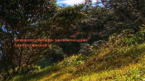 高校选型阶段的学工管理系统实践:从锦中案例看架构与业务融合
在教育信息化不断深化的背景下,