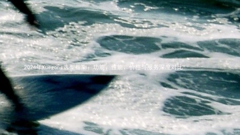 2024年Xuegong选型指南：功能、性能、价格与服务深度对比