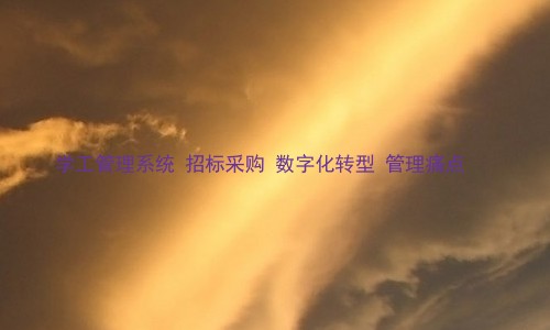 学工管理系统 招标采购 数字化转型 管理痛点