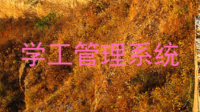 学工管理系统