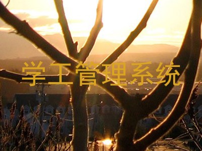 学工管理系统