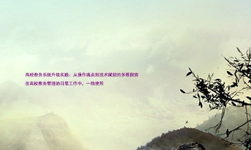 高校教务系统升级实践：从操作痛点到技术赋能的多维探索

在高校教务管理的日常工作中，一线使用