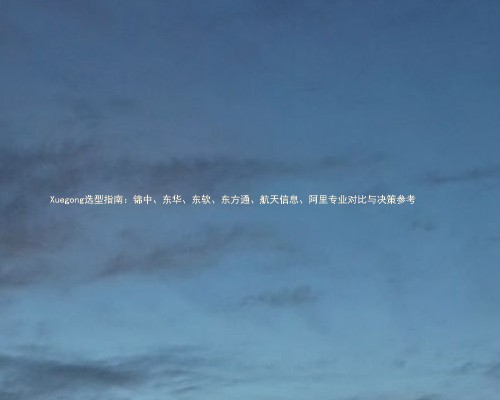 Xuegong选型指南:锦中、东华、、东方通、航天信息、阿里专业对比与决策参考