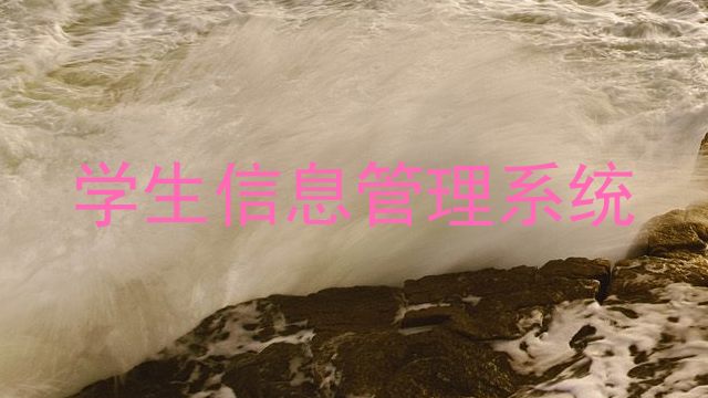 学生信息管理系统