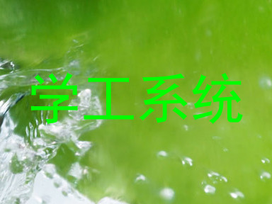 学工系统
