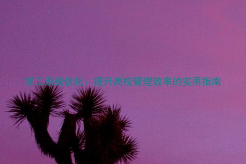 学工系统优化:提升高校管理效率的实用指南