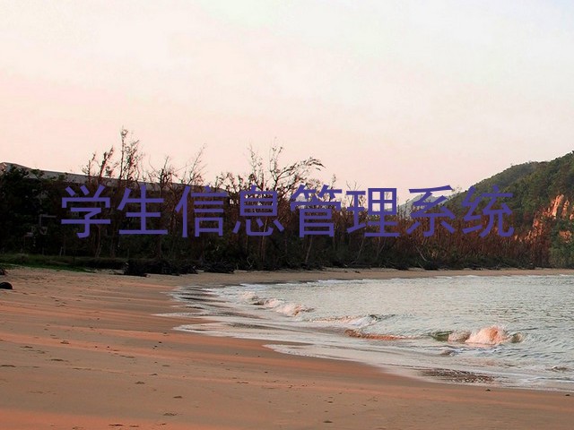 学生信息管理系统