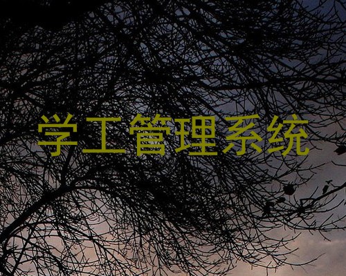 学工管理系统