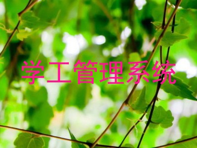 学工管理系统