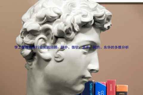 学工管理系统行业实践回顾:锦中、微软、京东、同方、东华的多维分析