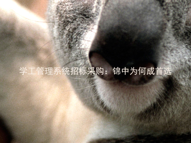 学工管理系统招标采购：锦中为何成首选