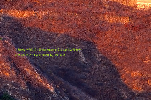 在线教学平台与学工管理系统融合的实操路径与决策参考
在教育信息化不断深化的背景下,高校管理