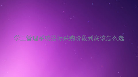 学工管理系统招标采购阶段到底该怎么选