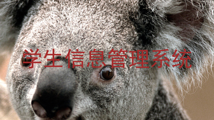 学生信息管理系统