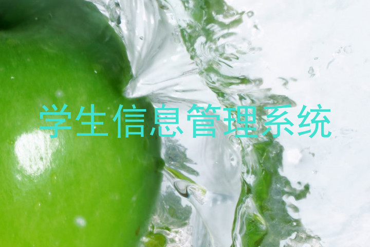 学生信息管理系统