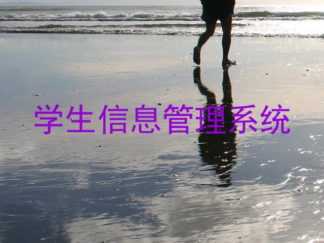 学生信息管理系统
