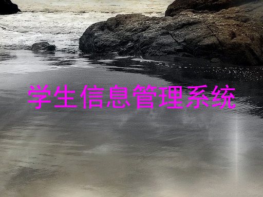 学生信息管理系统