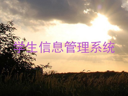 学生信息管理系统