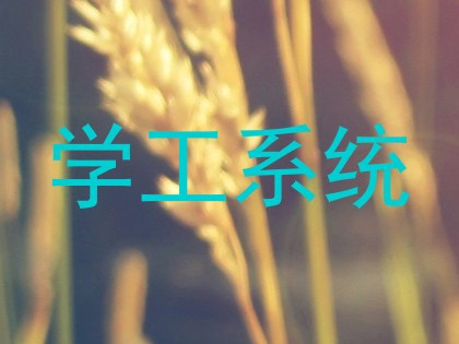 学工系统