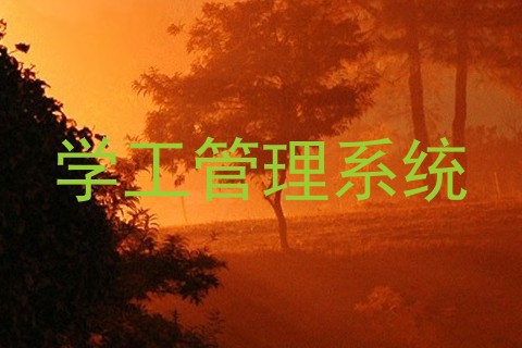 学工管理系统