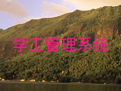 学工管理系统
