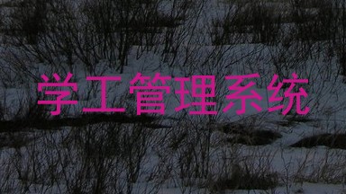学工管理系统