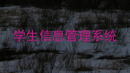学生信息管理系统