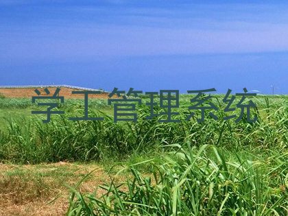 学工管理系统