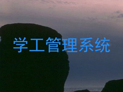 学工管理系统