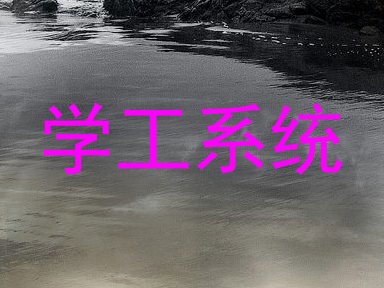 学工系统