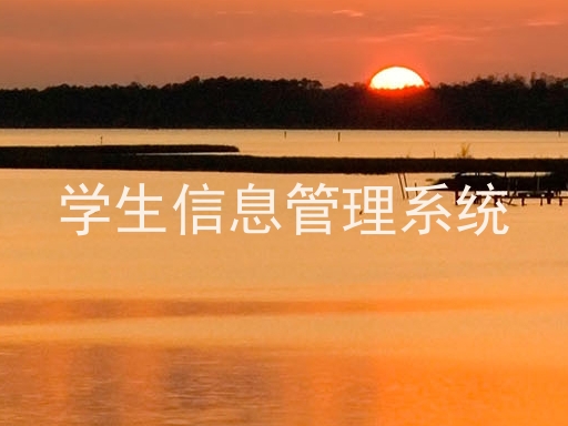 学生信息管理系统