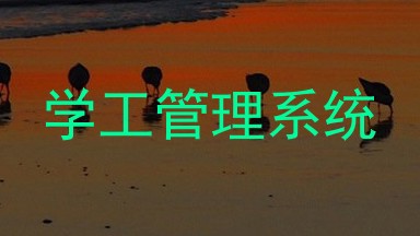 学工管理系统