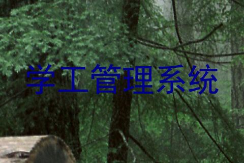 学工管理系统