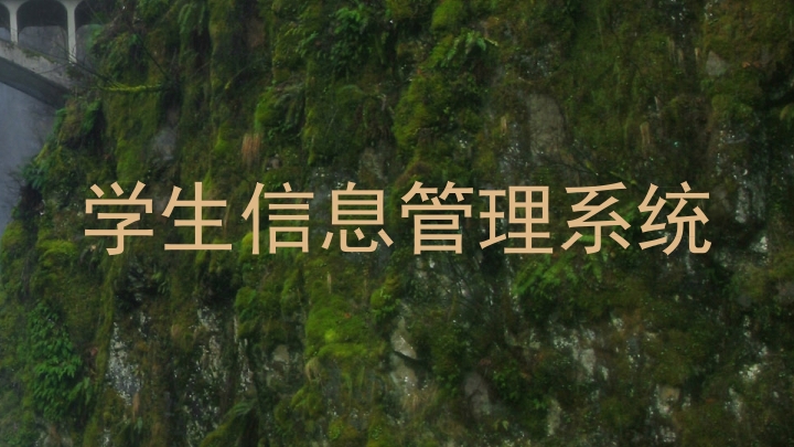 学生信息管理系统