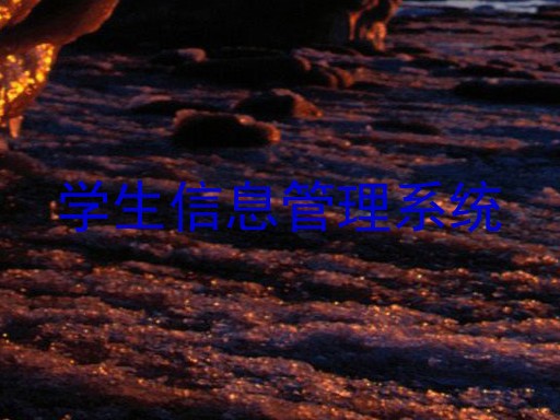 学生信息管理系统