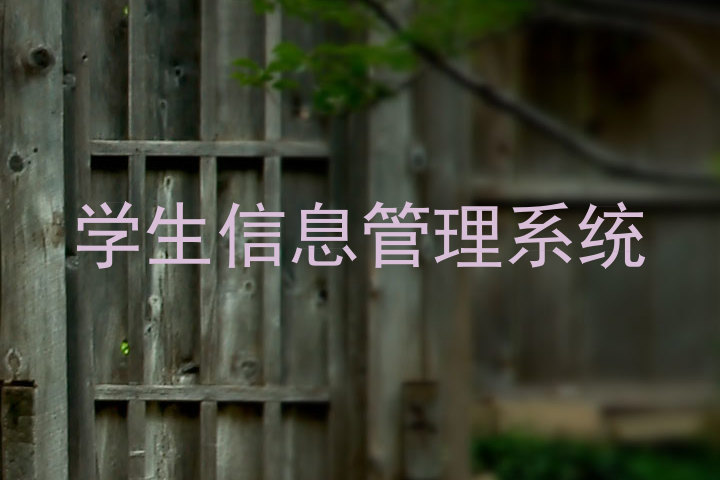 学生信息管理系统