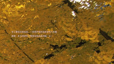 学工管理系统选型:一线使用者的深度思考与实践
摘要:本文围绕学工管理系统选型问题,从一