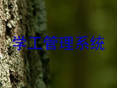 学工管理系统
