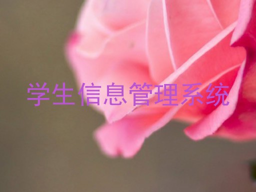 学生信息管理系统