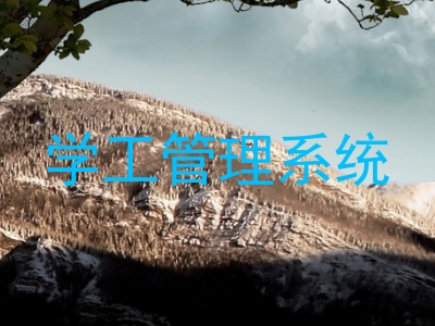 学工管理系统