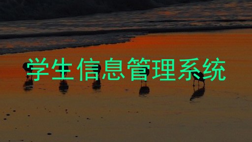 学生信息管理系统