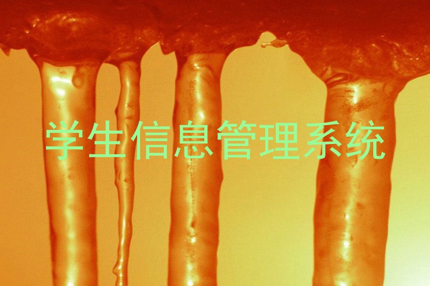 学生信息管理系统