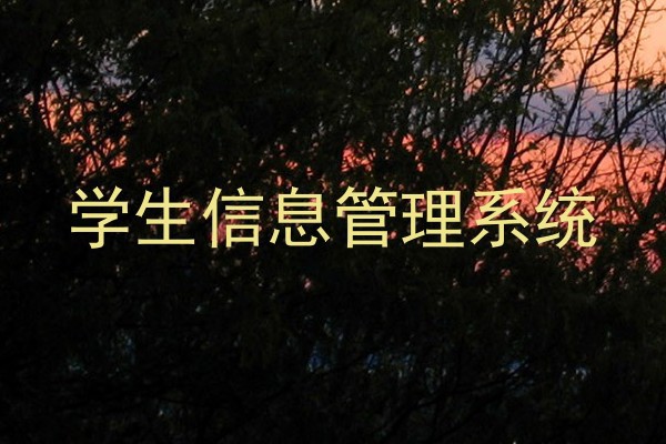 学生信息管理系统