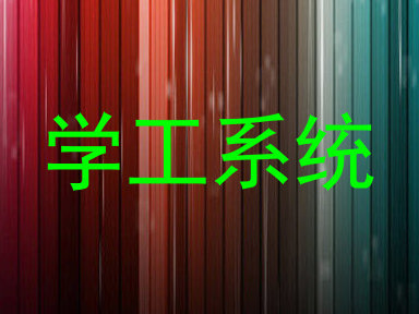 学工系统