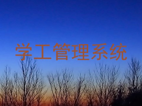 学工管理系统