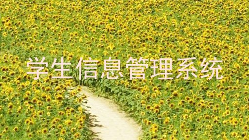 学生信息管理系统